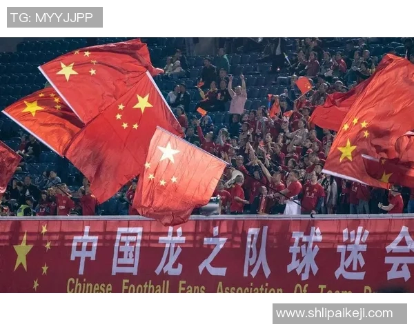 中国足球迎战巴西队展现实力与激情的巅峰对决